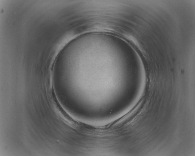 X0000062611371200512211125