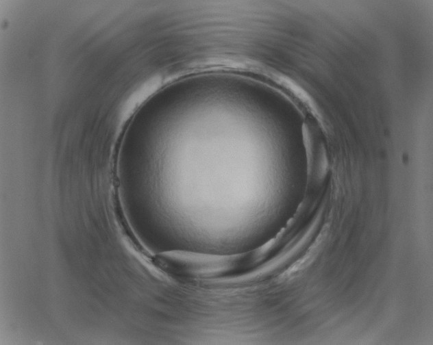 X0000062611373200512211125