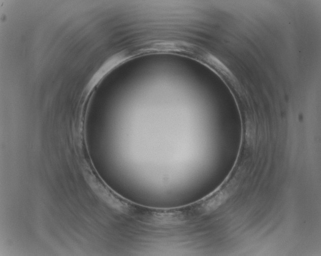 X0000062611378200512211125