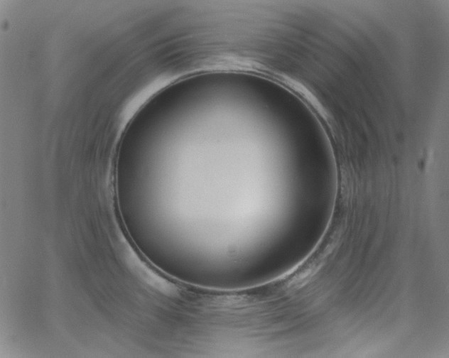 X0000062611387200512211125