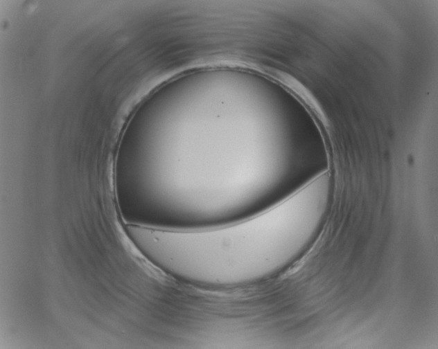 X0000062611388200512211125