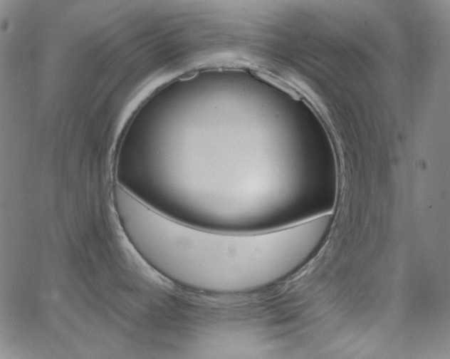 X0000062611392200512211125