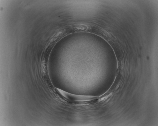 X0000062611394200512211124