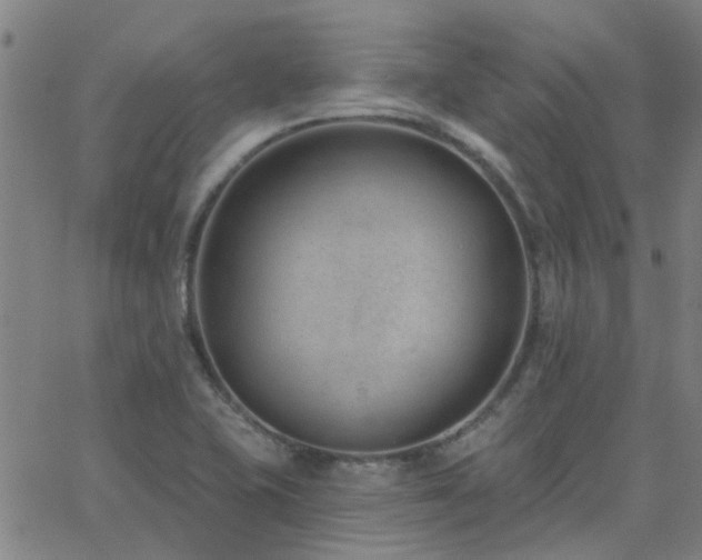 X0000062611415200512211125