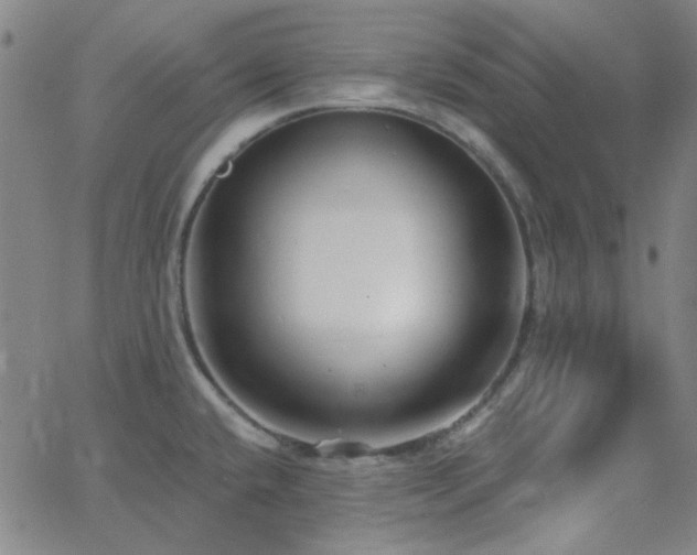 X0000062611432200512211125