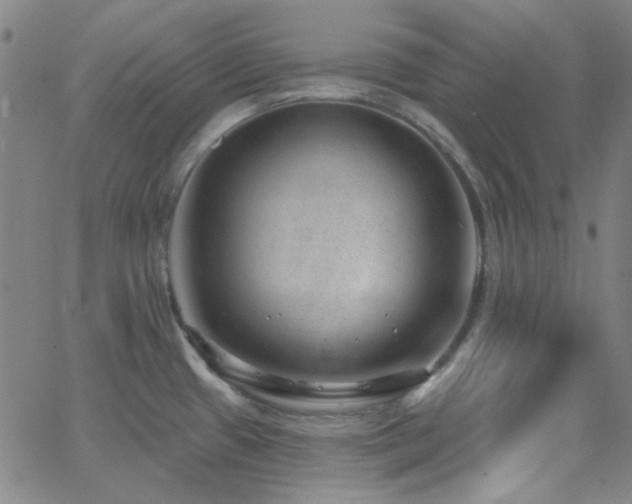 X0000062611433200512211125