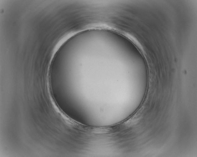 X0000062611440200512211125