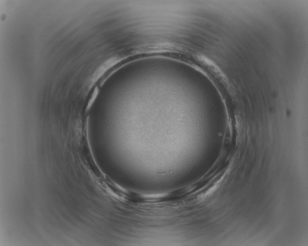 X0000062611457200512211124