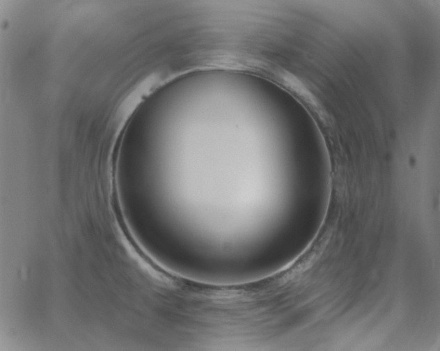 X0000062611479200512211124