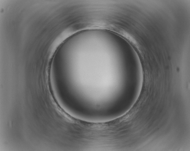 X0000062611480200512211124