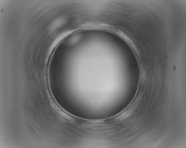 X0000062611486200512211123