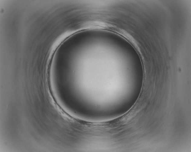 X0000062611488200512211123