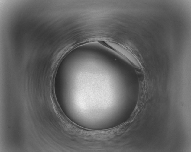 X0000062610001200512230932