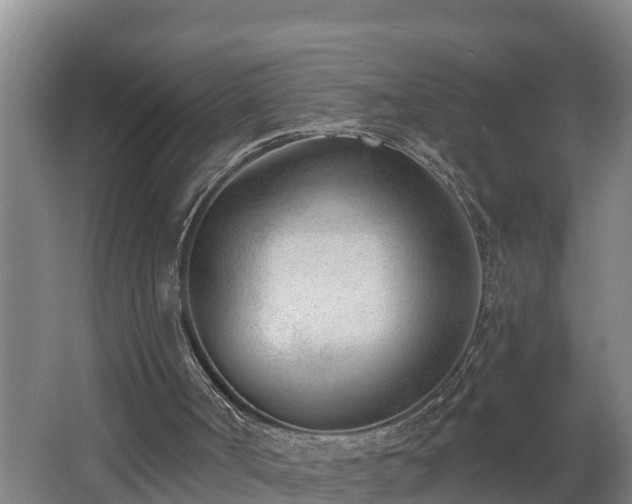 X0000062610002200512230932