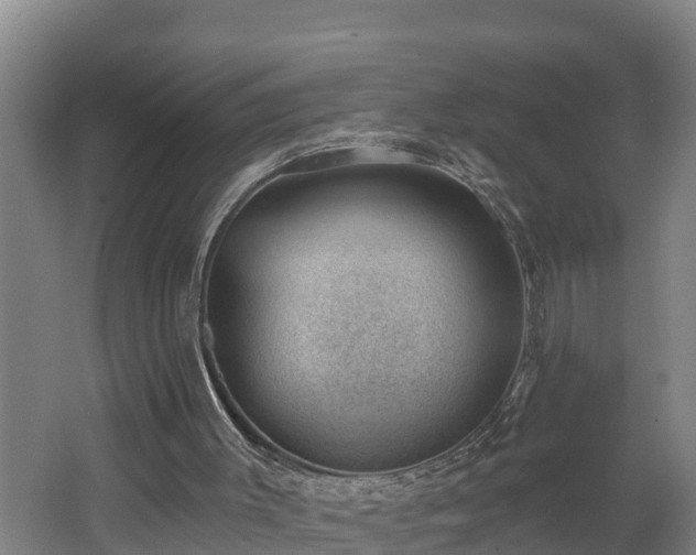 X0000062610003200512230932