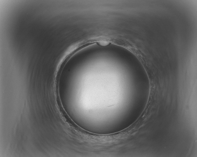 X0000062610006200512230932