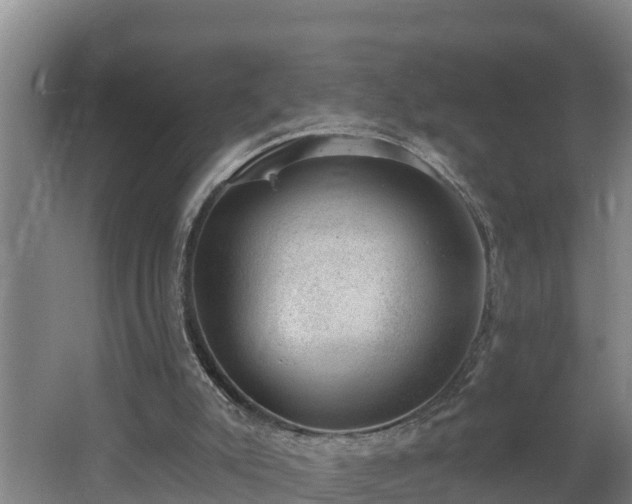 X0000062610007200512230932