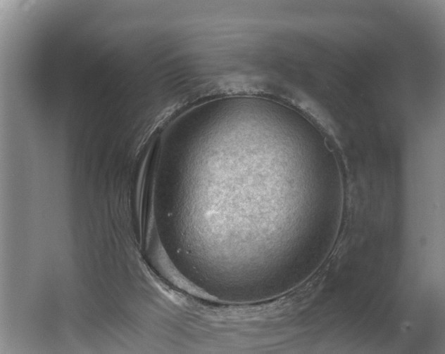 X0000062610009200512230932