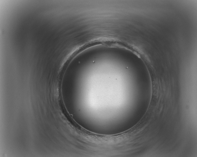 X0000062610015200512230932