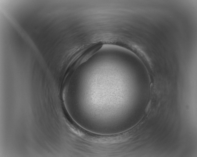 X0000062610017200512230932