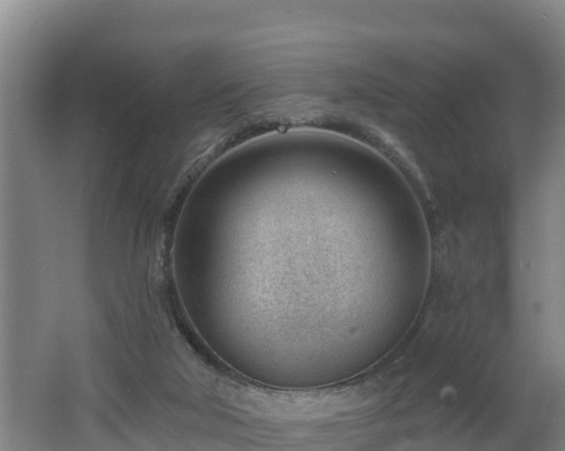 X0000062610018200512230932