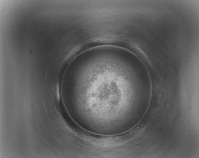 X0000062610020200512230932