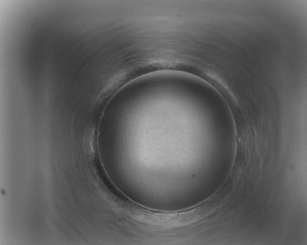 X0000062610023200512230932