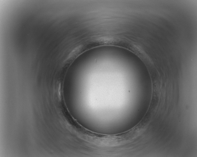 X0000062610024200512230932