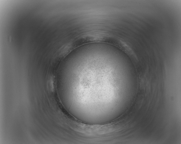 X0000062610026200512230932