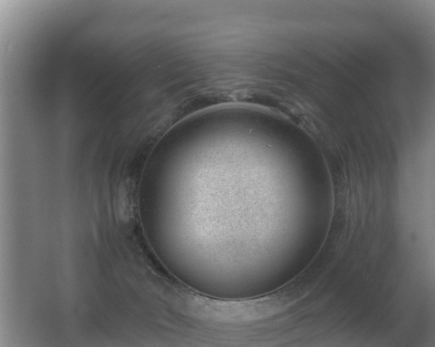 X0000062610030200512230932