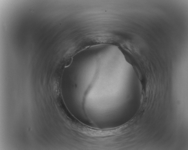 X0000062610031200512230932