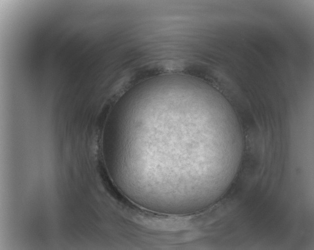 X0000062610032200512230932