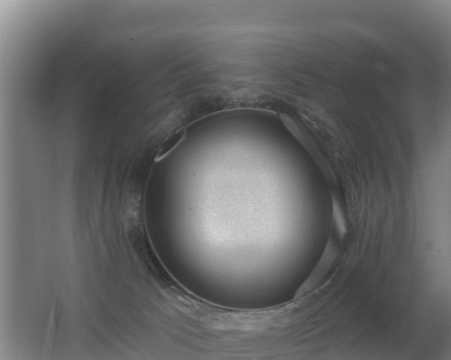 X0000062610033200512230932