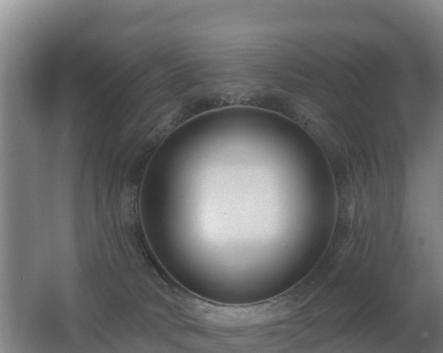 X0000062610034200512230932