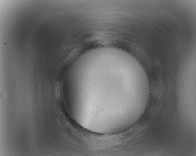 X0000062610036200512230931