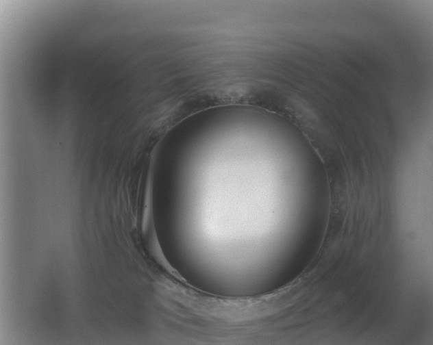 X0000062610037200512230931