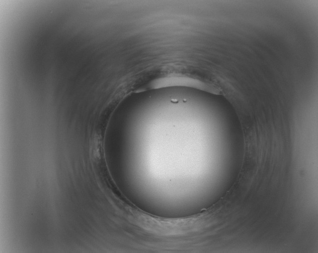 X0000062610038200512230931