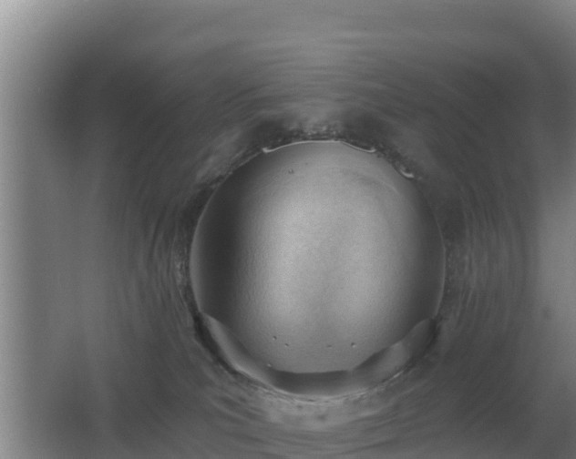 X0000062610039200512230931