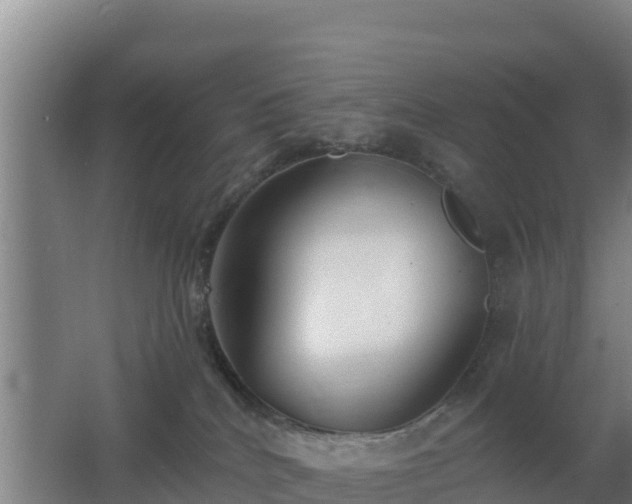 X0000062610040200512230931