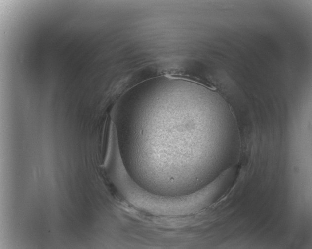 X0000062610041200512230931