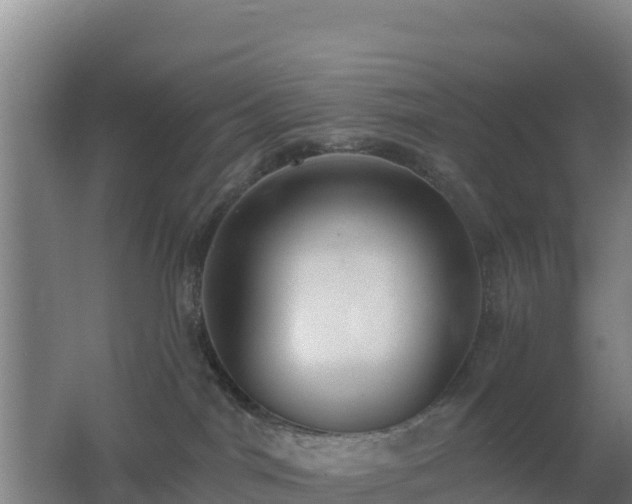 X0000062610044200512230931