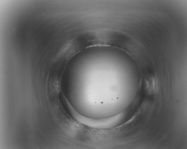 X0000062610045200512230931