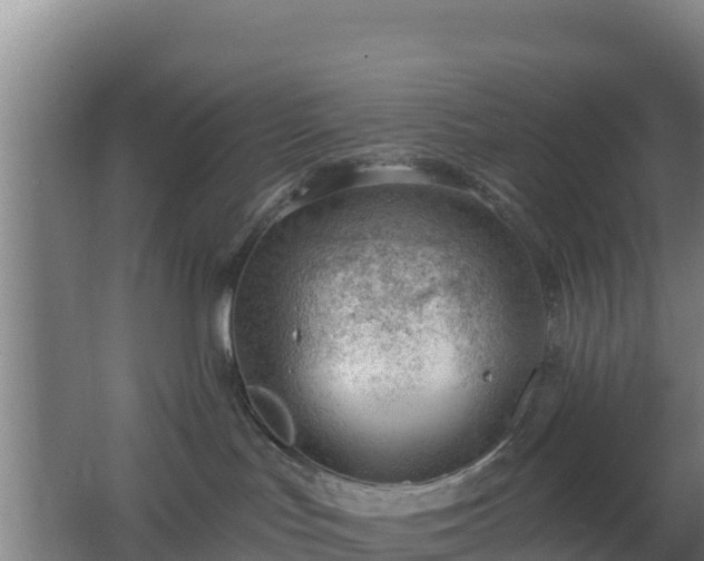 X0000062610047200512230931