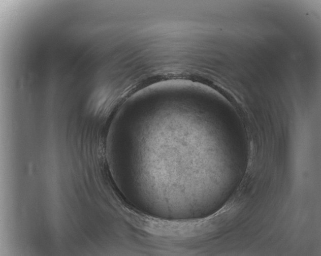 X0000062610048200512230931