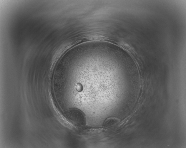 X0000062610049200512230930