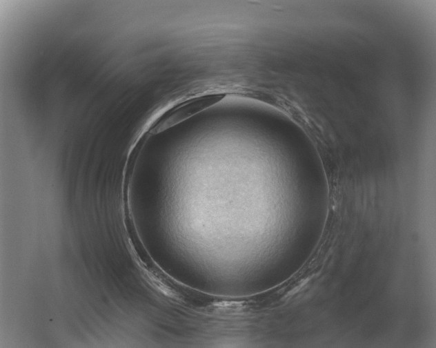 X0000062610052200512230931