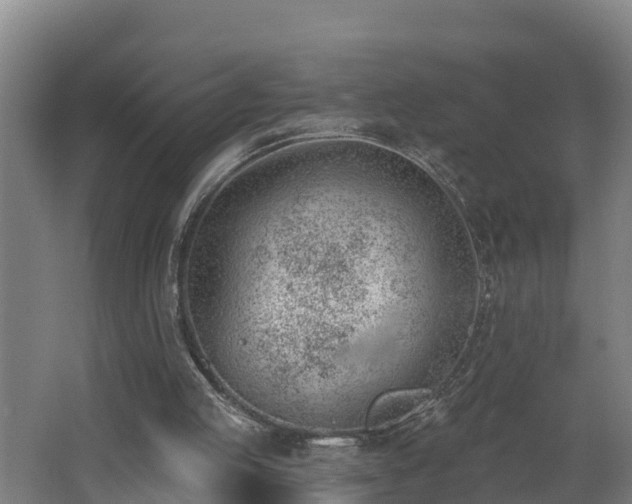 X0000062610053200512230931