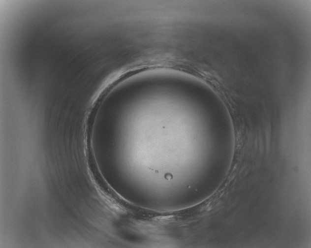 X0000062610054200512230931