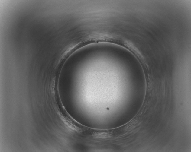 X0000062610058200512230931