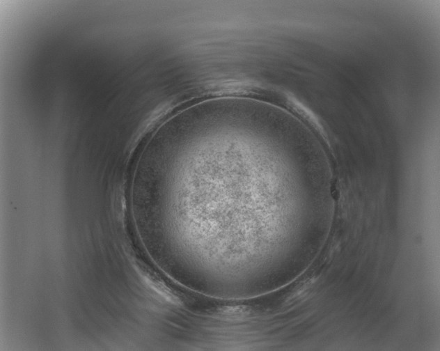 X0000062610059200512230931